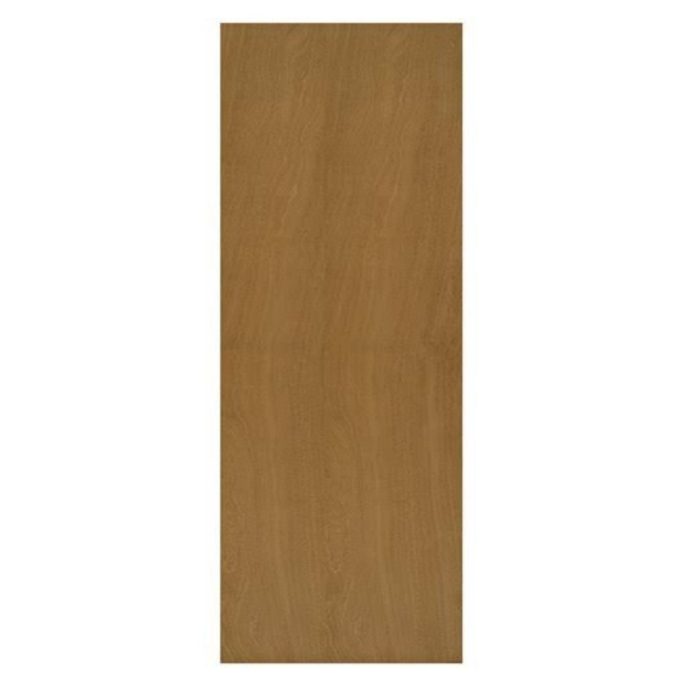 BST FLUSH DOOR