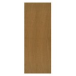 BST FLUSH DOOR