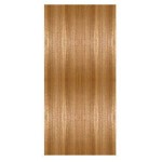 BST FLUSH DOOR