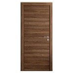 Flush Door