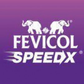 FEVICOL SPEEDX FAST SETTING ADHESIVE - MULTIPURPOSE ADHESIVE 1 kg