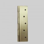 HINGES - 5 Inch