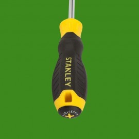 SCREWDRIVER 100 MM