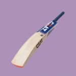 WOODEN CRICKET BAT