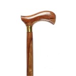 Walking Stick