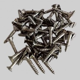 wood screws (10)