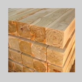 South American teak (0)